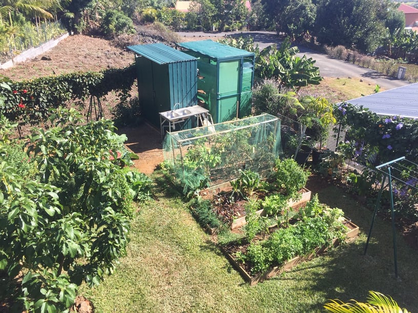 Endemic Solutions Visite chez un particulier pratiquant le jardinage au naturel.